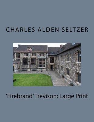 Book cover for 'firebrand' Trevison