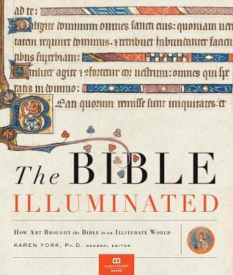 Book cover for The Bible Illuminated