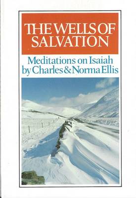 Book cover for Wells of Salvation