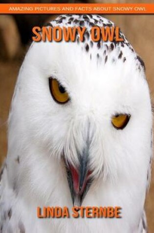 Cover of Snowy Owl