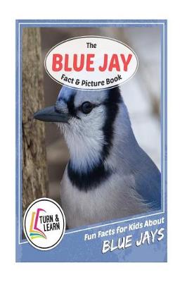 Book cover for The Blue Jay Fact and Picture Book