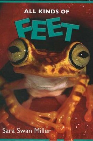 Cover of All Kinds of Feet