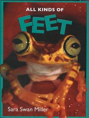 Book cover for All Kinds of Feet