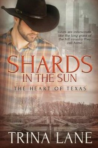 Cover of Shards in the Sun