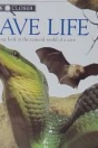 Cover of 11 Cave Life
