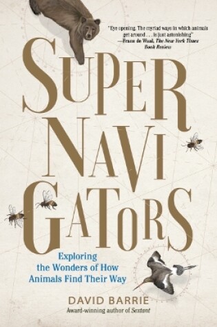 Cover of Supernavigators