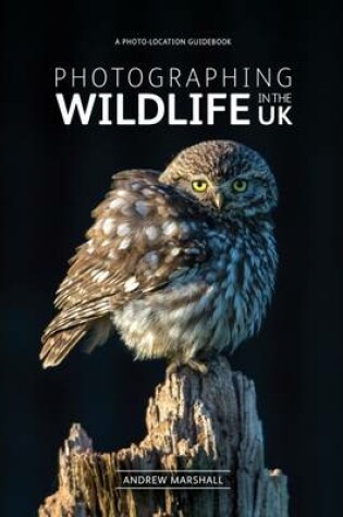 Cover of Photographing Wildlife in the UK