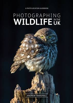 Book cover for Photographing Wildlife in the UK