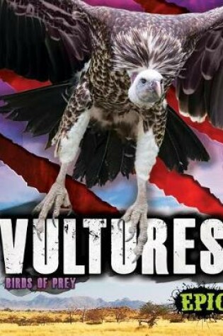 Cover of Vultures