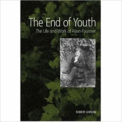 Book cover for The End of Youth