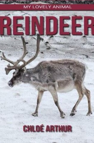 Cover of Reindeer