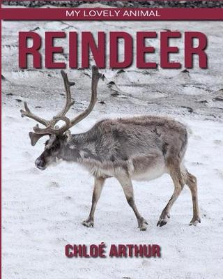 Cover of Reindeer