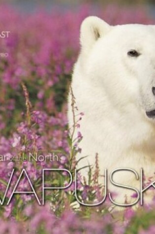 Cover of Wapusk