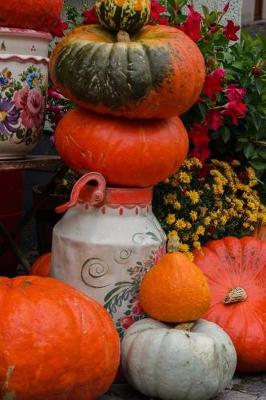 Book cover for Autumn Pumpkins in Ulm, Germany Journal