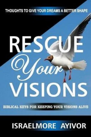 Cover of Rescue Your Visions