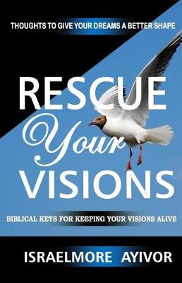 Book cover for Rescue Your Visions