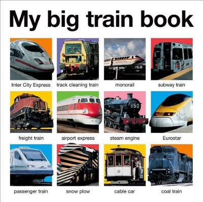 Book cover for My Train Book