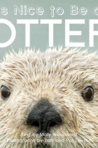 Cover of It's Nice to Be an Otter