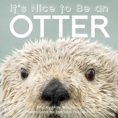 Book cover for It's Nice to Be an Otter