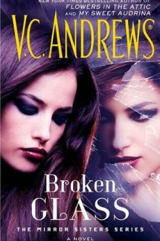 Cover of Broken Glass