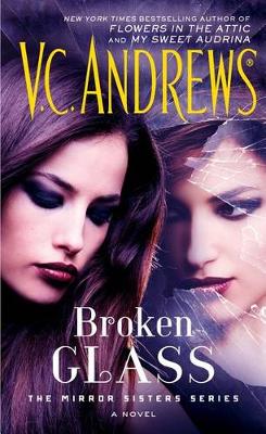 Cover of Broken Glass