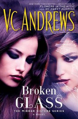 Book cover for Broken Glass, 2