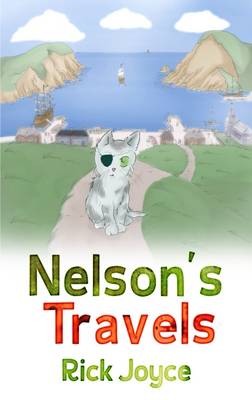 Book cover for Nelson's Travels