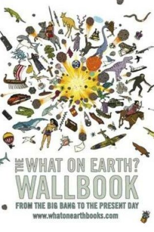 Cover of What on Earth? Wallbook of Big History