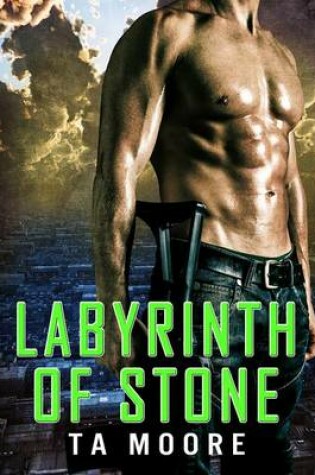 Cover of Labyrinth of Stone