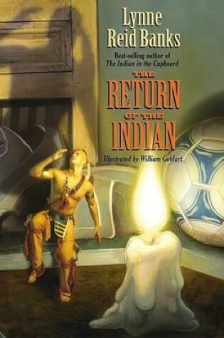 Cover of The Return of the Indian