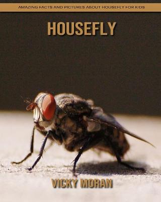 Book cover for Housefly