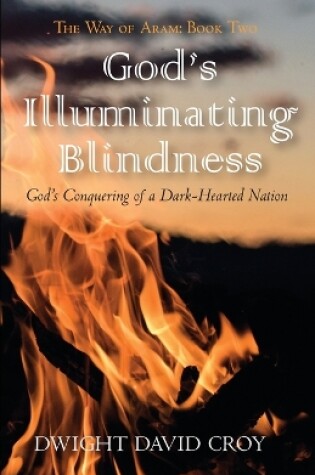 Cover of God's Illuminating Blindness