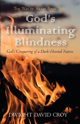 Cover of God's Illuminating Blindness