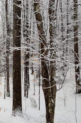 Book cover for Winter Season Journal Pretty Woods