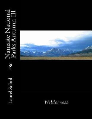 Book cover for Namaste National Parks Autumn III