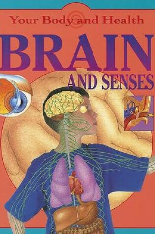 Cover of Brain & Senses