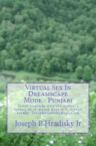 Cover of Virtual Sex in Dreamscape Mode - Punjabi