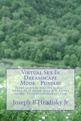 Book cover for Virtual Sex in Dreamscape Mode - Punjabi