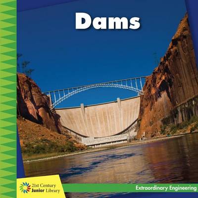 Book cover for Dams