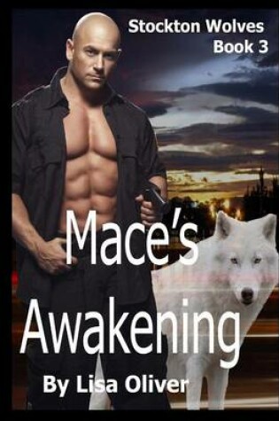 Cover of Mace's Awakening