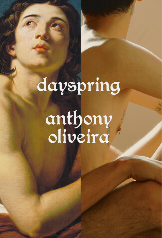 Book cover for Dayspring