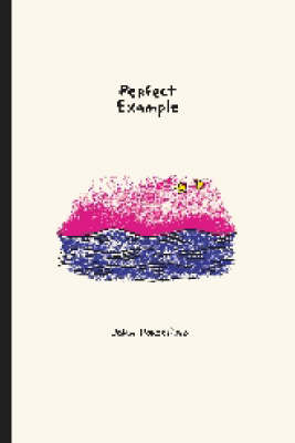 Book cover for Perfect Example