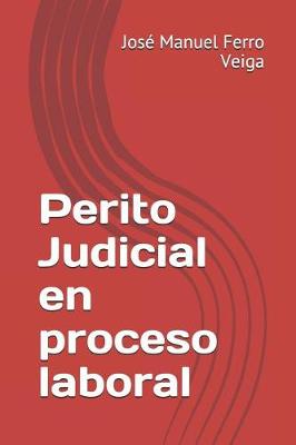 Book cover for Perito Judicial En Proceso Laboral