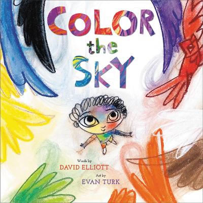 Book cover for Color the Sky