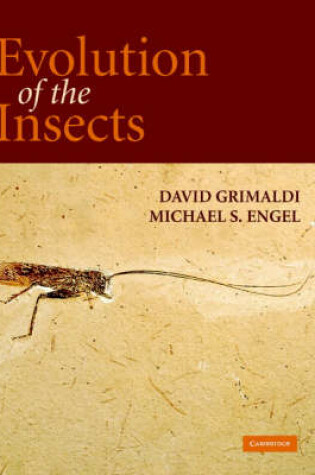 Cover of Evolution of the Insects