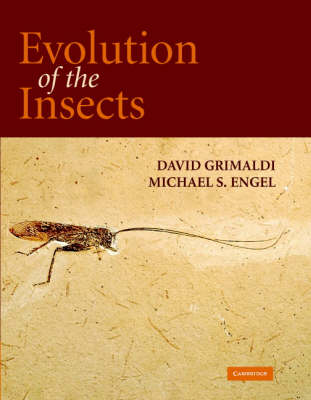 Cover of Evolution of the Insects