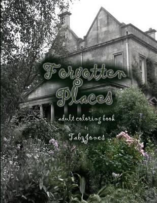 Book cover for Forgotten Places Adult Coloring Book