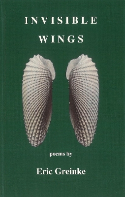 Book cover for Invisible Wings