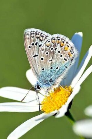 Cover of Common Blue Butterfly on a Flower, for the Love of Nature