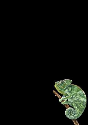 Cover of Chameleon Journal
